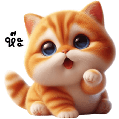 Orange cat so very cute