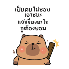 คาปิบาร่าเอง V.23 : แบบบิ๊กๆ