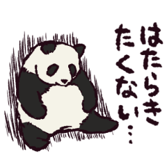 Giant Panda!?
