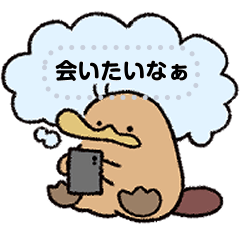 メッセージ　カモノハシの橋下さん