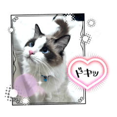 aichan_20250521015321