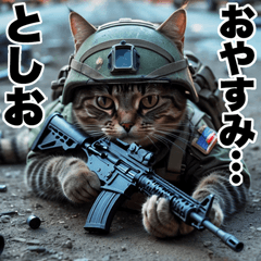 Toshio dedicated advancing cat army