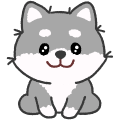 Cute Gray Shiba Inu 'Malang' JPN ver.
