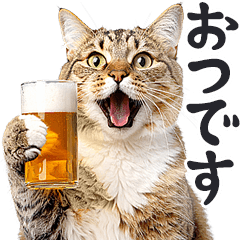 real cats meme/Alcohol: Beer3