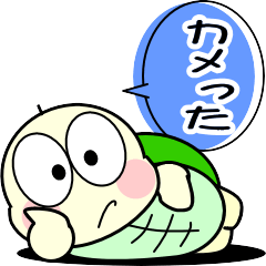 Just a little turtle