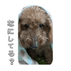 macochi_20250521210037