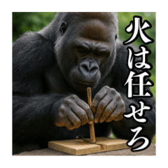 夏キャンプを楽しむゴリラ