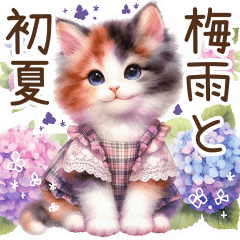 Rainy season and early summer cats
