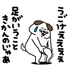 全力いぬそれは老いです編