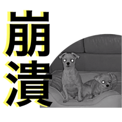 My dogs say..Chinese ver.