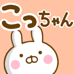 Rabbit Usahina kochan