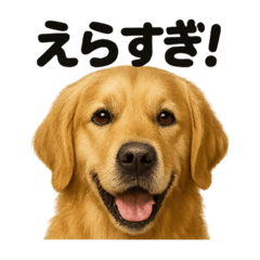 MINA_20250521174431 – LINE stickers | LINE STORE