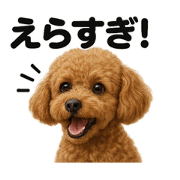 MINA_20250521174045