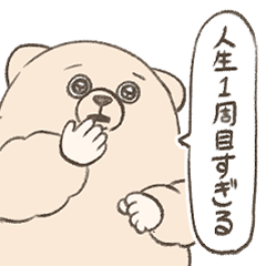 Pure-eyes bear3