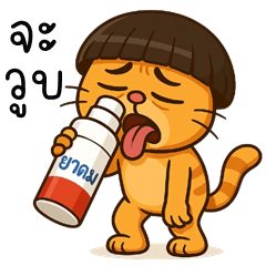 ส้มซ่า แมวจอมป่วน