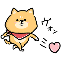 無難すぎて使えすぎる柴犬の毎日(更新)
