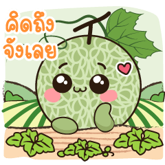 Namnan Farm cute melon stickers