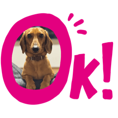 ALISA_20250522124411