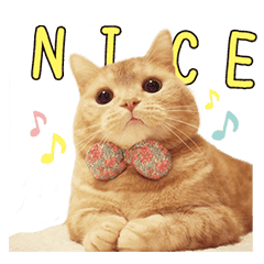 マンチカンの ぷー Line スタンプ Line Store マンチカンの ぷー Line スタンプ Line Store