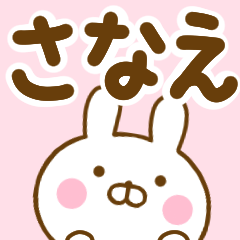Rabbit Usahina sanae