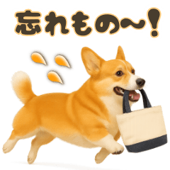 Corgi's Family Message