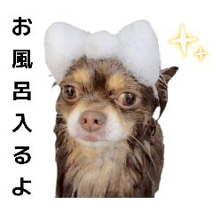 KIKIAOMI_20250522093236