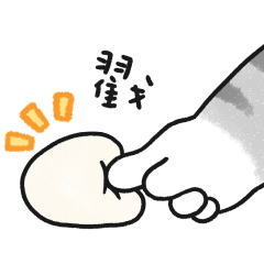 貓咪的胖手手動起來 (灰白虎斑貓)