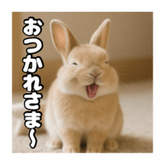 ポジティブなうさぎ