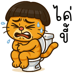 Somza Funny Cat (Kum-muang)