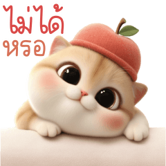 แมวสลิด หัวแอปเปิ้ล 1_35