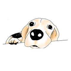 Beagle Daily Life 2 - A Tsau