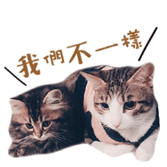 天一扁弟日常篇