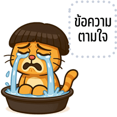 เปลี่ยนข้อความตามใจ: ส้มซ่า แมวจอมป่วน