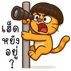 Somza Funny Cat (E-San)