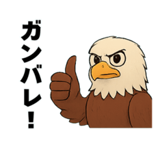 動物の日常会話03・ハクトウワシ・鷲