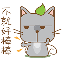 tea cat - daily 2