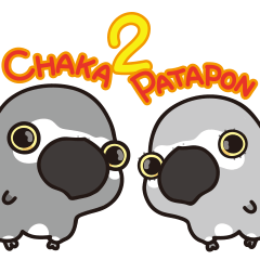 CHAKA & PATAPON"2"(Psittacus erithacus)