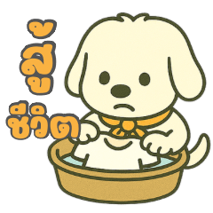 Tako cute dog