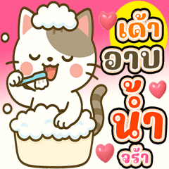 เค้า แมวน่ารัก