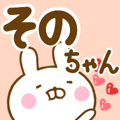 Rabbit Usahina sonochan