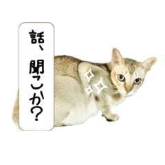 ゆるゆるシンガプーラVer5