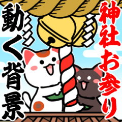 Effect! Lucky cat praying to God/modify