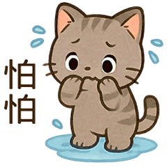 可愛貓咪日常大集合