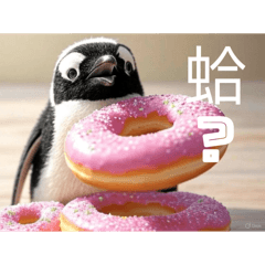 Alice Universe_20250523031340