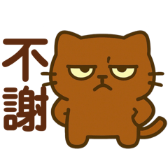 Kokomo Polite Collection