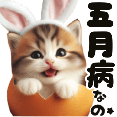 Easter egg  kitten