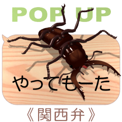 Stag beetle on the smartphone 7