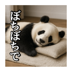 のんびりな脱力パンダ