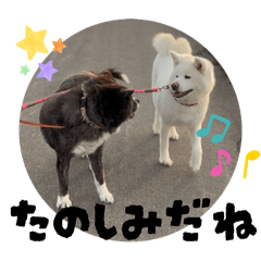 藍とましろのeverydayスタンプ  vol.2