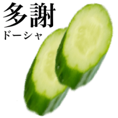 Fresh cucumber 3